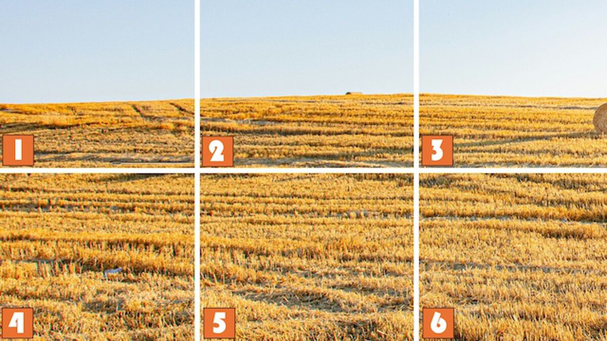 Needle in a Haystack image number null